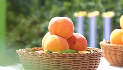 1658196793387846.jpg 微信图片_20220718121741.jpg