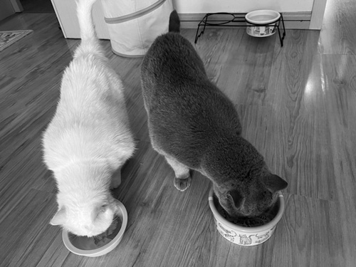 1658197124940663.jpg 微信图片_20220718120725.jpg