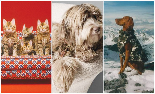 1658281182378398.jpg 图片5.jpg