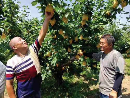 1658972997768671.jpg 微信图片_20220727132044.jpg