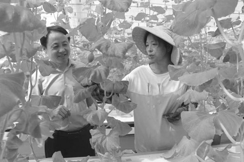 1658973125751444.jpg 66.jpg