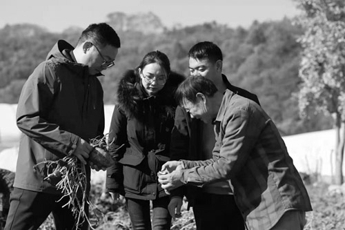 1658973176744528.jpg 6.jpg