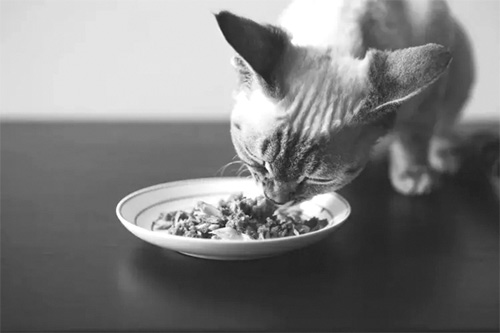 1661133134876008.jpg 微信图片_20220821182447 副本.jpg