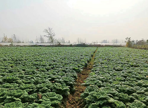 1664329940932808.jpg 微信图片_20220926132307.jpg