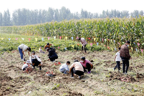 1664416122591420.jpg 图片199999.jpg