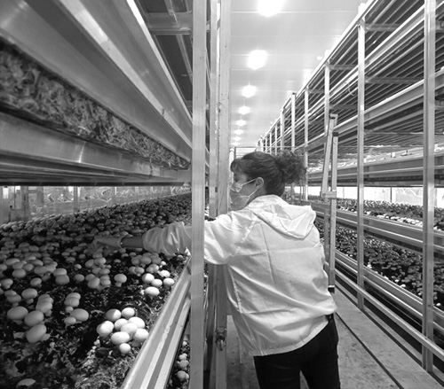 1664416276331719.jpg 图片010101.jpg