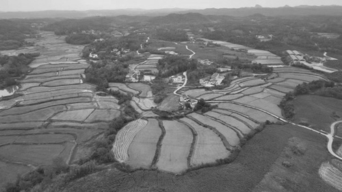 1664416470884814.jpg 7.jpg