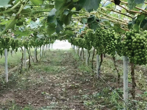 1666840730330152.jpg 555.jpg