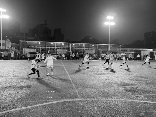 1667527099372640.jpg 33.jpg