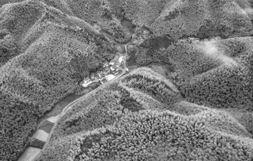 1667787365882310.jpg 22.jpg