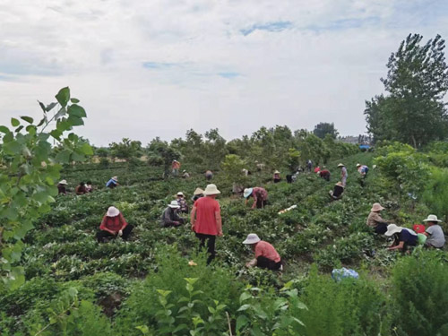 1669622128917234.jpg 微信图片_20221127092241.jpg