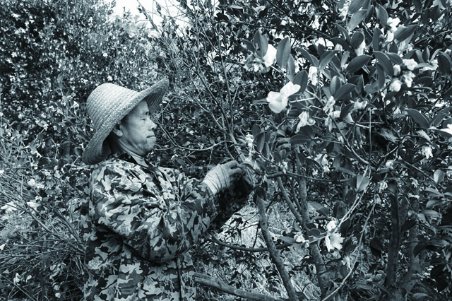 1669828713689900.jpg 33.jpg