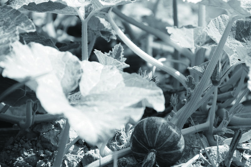 1670420861557051.jpg 3.jpg