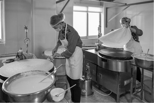 微信图片_20230111095620 副本.jpg