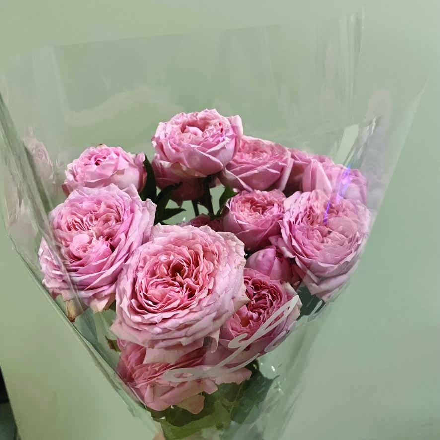 1676253889144860.jpg 444.jpg