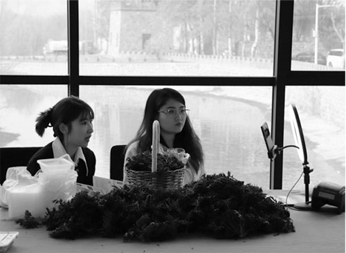 1680599711328065.jpg 3333 副本.jpg