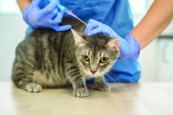 1682474346633271.jpg 微信图片_20230425155810.jpg