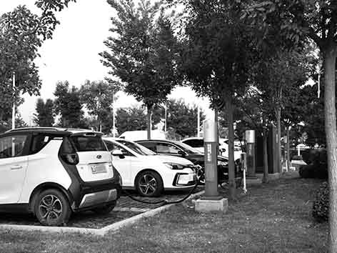 1683117102947714.jpg 图片21.jpg