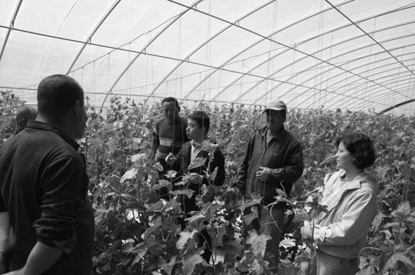 1684293341758687.jpg 3.jpg