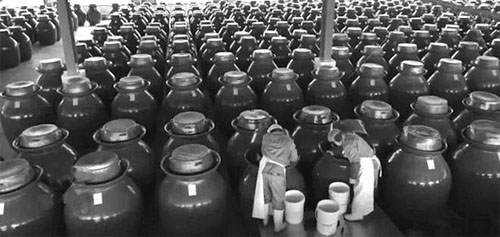 微信图片_20230531102453 副本.jpg