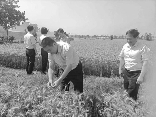 1686625431744585.jpg 微信图片_20230612131450.jpg