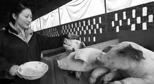 1686625447508144.jpg 微信图片_20230612131437.jpg