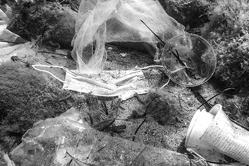 1688352385400753.jpg 88888.jpg