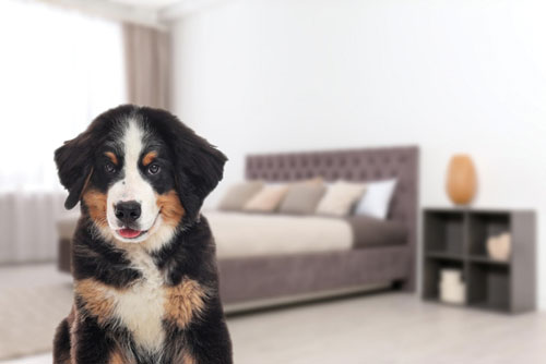 1688439205984608.jpg 44.jpg