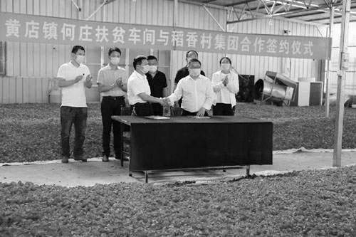 1688609634625728.jpg 3333.jpg