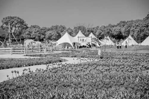 1689046189449037.jpg 22.jpg