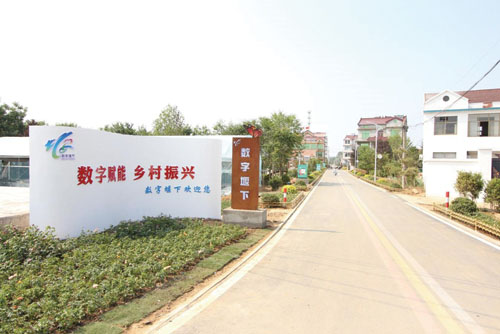 1690183289989162.jpg 444.jpg