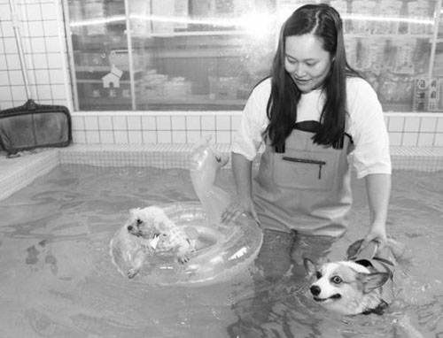 1690253276791097.jpg 22.jpg