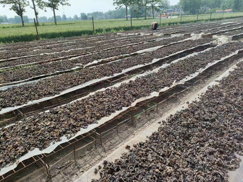 1690532411366317.jpg 微信图片_20230726164402.jpg