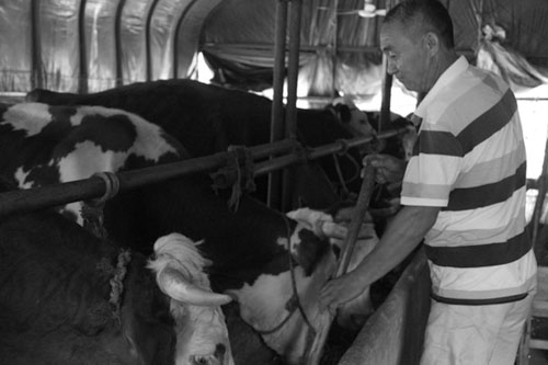 1690532527224558.jpg 6.jpg