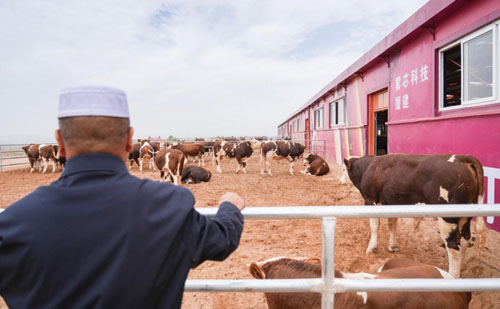 1690533126317539.jpg 8888.jpg