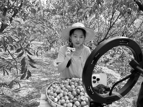 1690775917700954.jpg 2.jpg