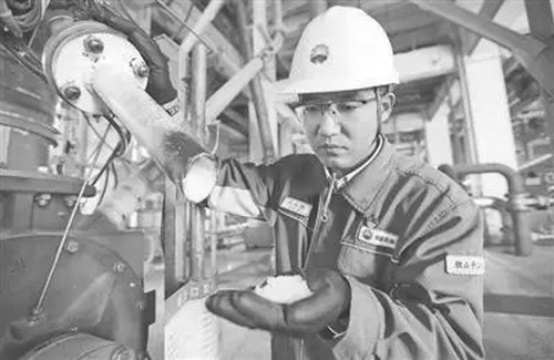 1691382431847787.jpg 33.jpg