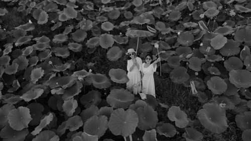 1691550779546898.jpg 22.jpg