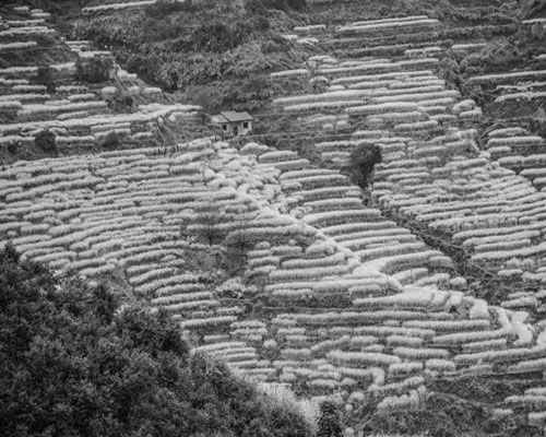 1691634387757939.jpg 2.jpg