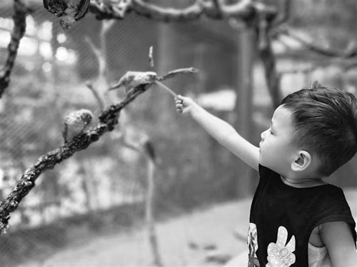 1691634407294197.jpg 222.jpg