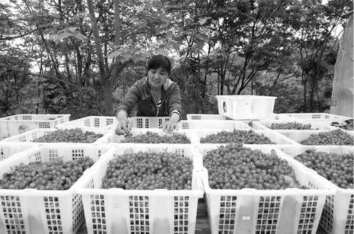 1692584115616487.jpg 2.jpg