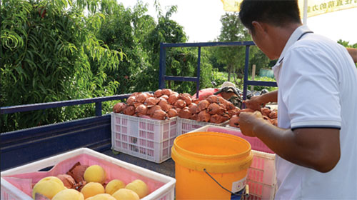 1692773698222484.jpg 微信图片_20230822133826 副本.jpg