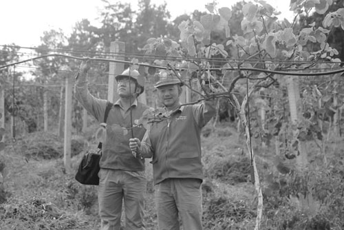 1694575816760872.jpg 222.jpg