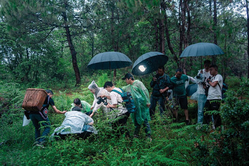 1695093482612188.jpg 44.jpg