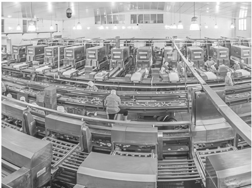 1695177239828987.jpg 2.jpg