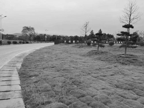 1695697452560562.jpg 6.jpg