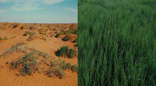 1695698119183582.jpg 88.jpg