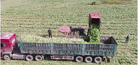 1695800825290569.jpg XFRB01B0927.jpg