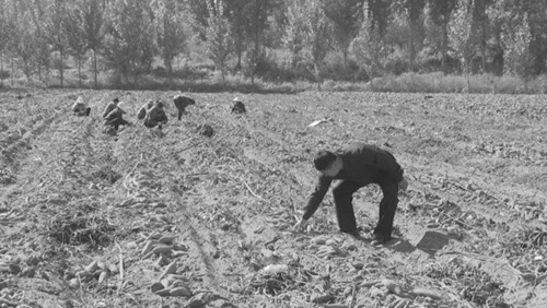 1697509487980295.jpg 2.jpg