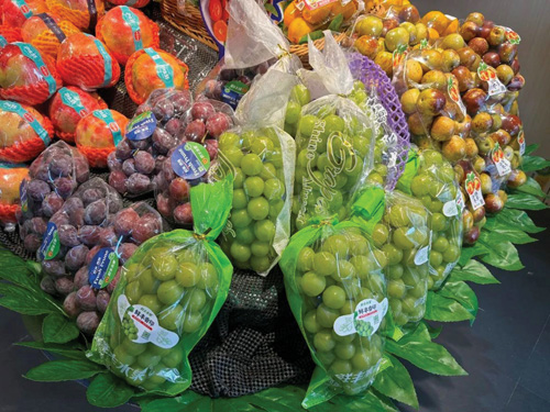 1697509692154641.jpg 4.jpg